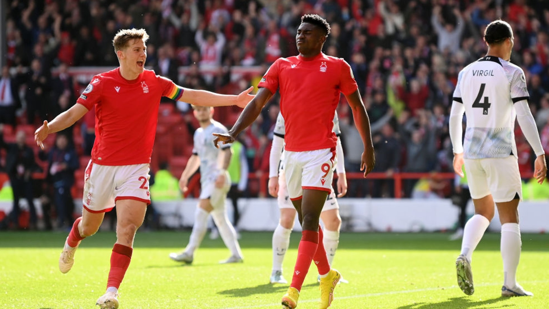 和蛋白质含 和蛋白质含